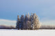 Parkland County, Alberta, Canada Wall Mural