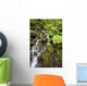 Oregon Of America Wall Mural