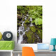 Oregon Of America Wall Mural
