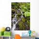 Oregon Of America Wall Mural