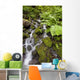 Oregon Of America Wall Mural