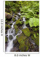Oregon Of America Wall Mural