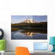 Washington Of America Wall Mural