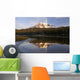 Washington Of America Wall Mural