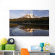 Washington Of America Wall Mural