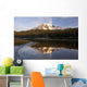 Washington Of America Wall Mural
