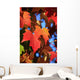 Oregon Of America Wall Mural