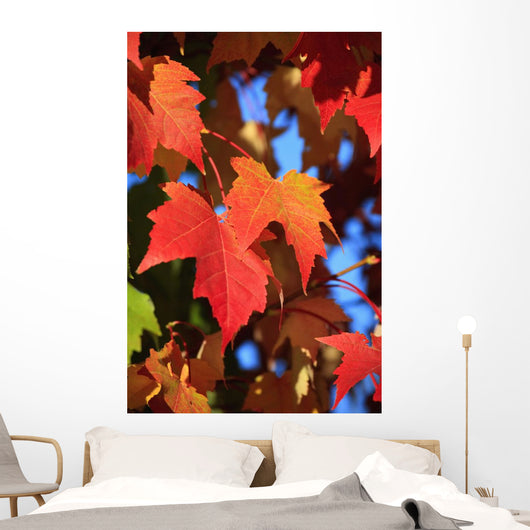 Oregon Of America Wall Mural