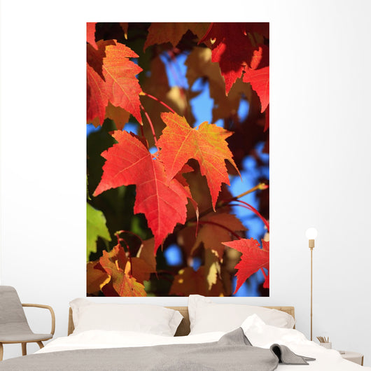 Oregon Of America Wall Mural