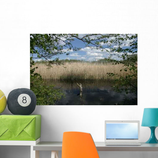 Riparian Strips M Ritz Wall Decal