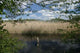 Riparian Strips M Ritz Wall Decal