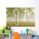 Birch Trees In The Fog Wall Mural