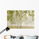 Birch Trees In The Fog Wall Mural