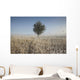 Frost On Tall Grass Wall Mural