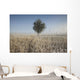 Frost On Tall Grass Wall Mural