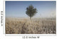Frost On Tall Grass Wall Mural