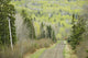 Electricity Wires Running Along A Country Road Wall Mural