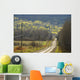 A Country Road With Electrical Wires Running Along It Wall Mural