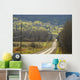 A Country Road With Electrical Wires Running Along It Wall Mural