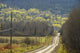 A Country Road With Electrical Wires Running Along It Wall Mural