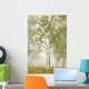 Birch Trees In The Fog Wall Mural