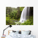 North Middle Falls In Silver Falls State Park Wall Mural