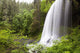 North Middle Falls In Silver Falls State Park Wall Mural