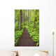 A Trail In Columbia River Gorge National Scenic Area Wall Mural