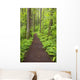 A Trail In Columbia River Gorge National Scenic Area Wall Mural