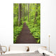 A Trail In Columbia River Gorge National Scenic Area Wall Mural