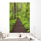 A Trail In Columbia River Gorge National Scenic Area Wall Mural