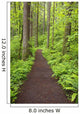 A Trail In Columbia River Gorge National Scenic Area Wall Mural