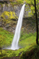 Elowah Falls In Columbia River Gorge National Scenic Area Wall Mural