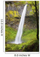 Elowah Falls In Columbia River Gorge National Scenic Area Wall Mural