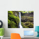 Winter Falls In Silver Falls State Park Wall Mural