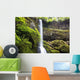 Winter Falls In Silver Falls State Park Wall Mural