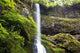 Winter Falls In Silver Falls State Park Wall Mural