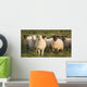 Sheep In A Pasture Wall Mural