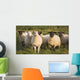 Sheep In A Pasture Wall Mural