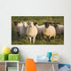 Sheep In A Pasture Wall Mural