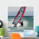 A Man Windsurfing Wall Mural
