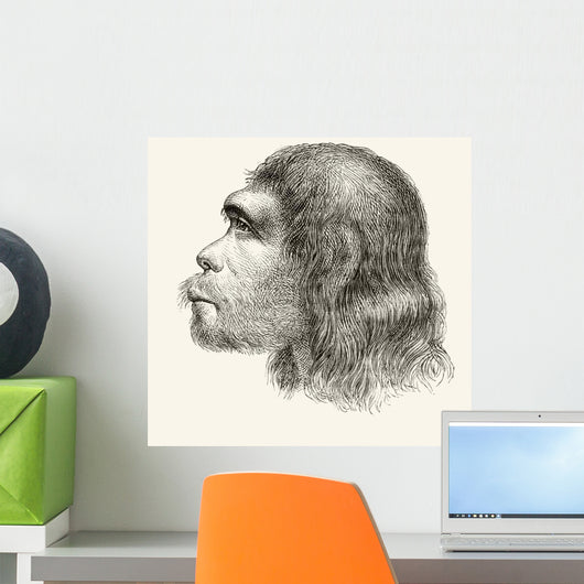 Head Of A Neanderthal Man Wall Mural