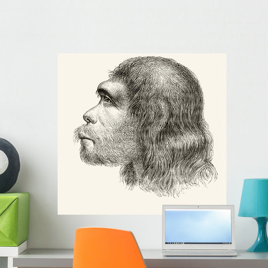 Head Of A Neanderthal Man Wall Mural