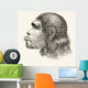 Head Of A Neanderthal Man Wall Mural