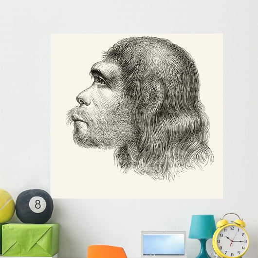 Head Of A Neanderthal Man Wall Mural