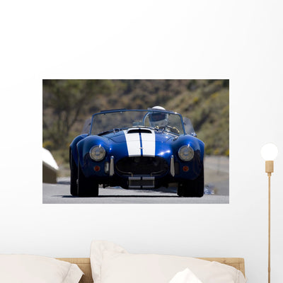 Sports Car shown on a wall