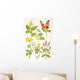 Medicinal Herbs And Plants Clockwise From Top Left Wall Mural
