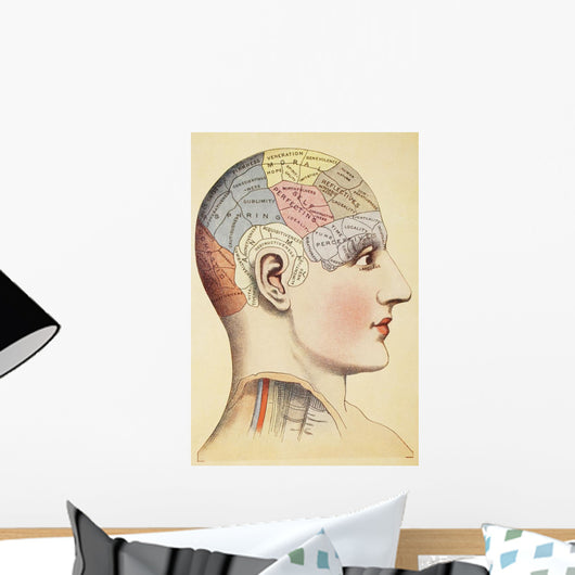 A Phrenological Map Of The Human Brain Wall Mural
