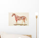 Internal Organs Of A Horse Wall Mural
