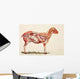 Internal Organs Of A Sheep Wall Mural